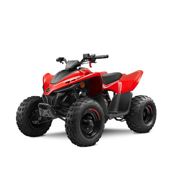 ATV til børn CFMOTO CFORCE 110 BASIC